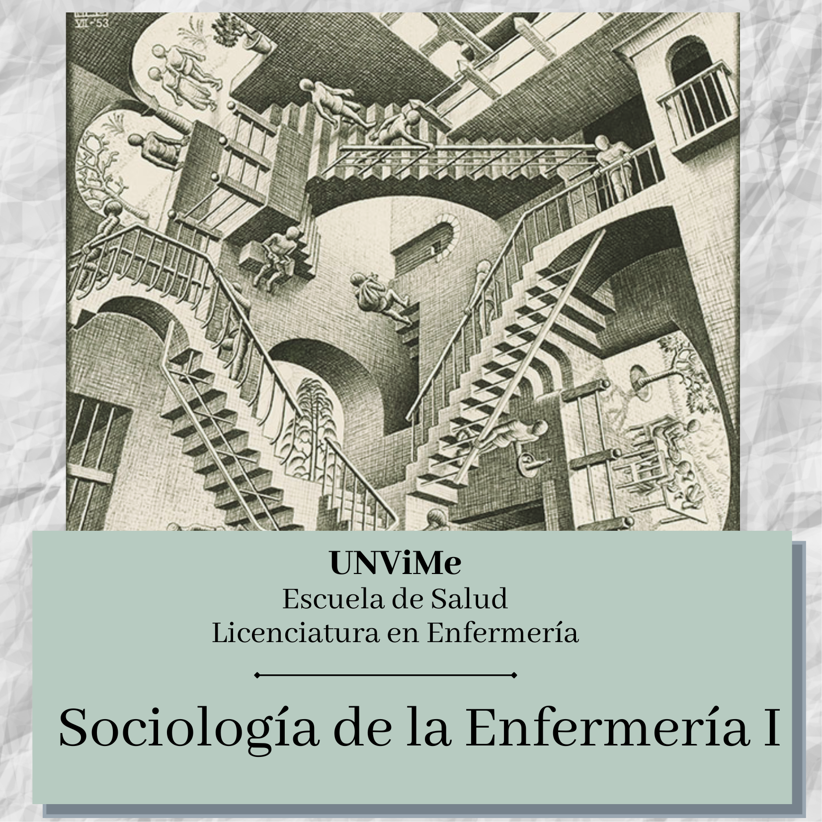 Sociología de la Enfermería I